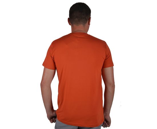 Футболка чоловіча Zinzolin 2867-02, Розмір: L, Колір: терракот, фото 2 | Інтернет-магазин Vels