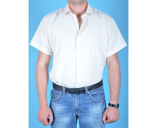 Рубашка мужская приталенная VELS 12* к/р, фото 2 | Интернет-магазин Vels