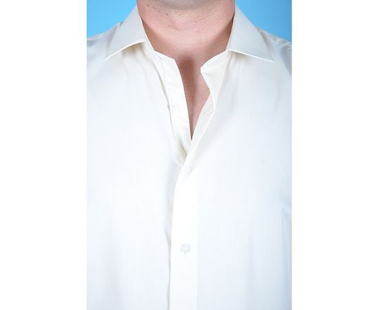 Рубашка мужская приталенная VELS 12* к/р, фото 3 | Интернет-магазин Vels