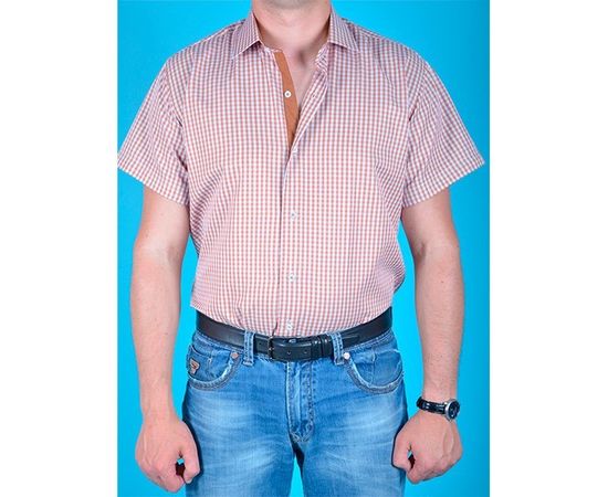 Рубашка мужская приталенная VELS 3406/4 к/р, Размер: S, Цвет: белая  рыжая клетка, фото 2 | Интернет-магазин Vels