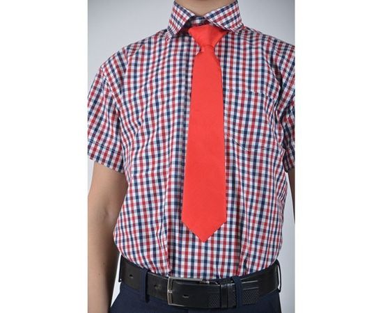 Рубашка детская VELS 9360/1 отд. к/р, Размер: 1, Цвет: красно-синяя клетка, фото 5 | Интернет-магазин Vels