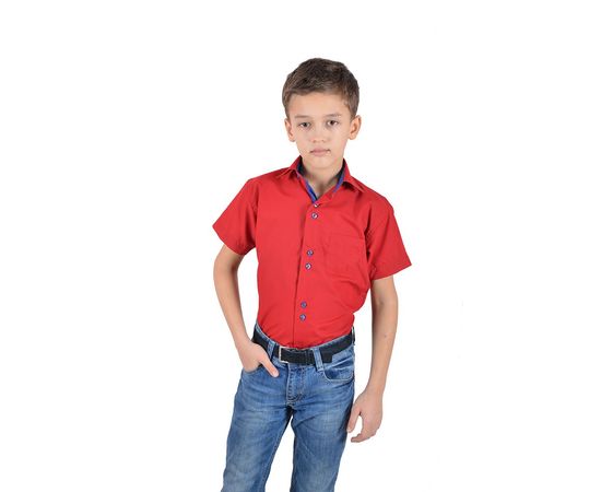 Сорочка дитяча VELS 31 синя вставка, короткий рукав, Розмір: 1, Колір: красный с син. отд., фото 2 | Інтернет-магазин Vels