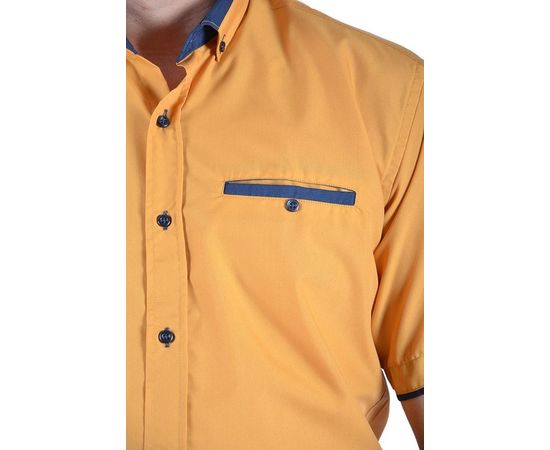 Рубашка мужская классическая VELS 124 к/р, Размер: L, Цвет: горчичн. т.син отд., фото 4 | Интернет-магазин Vels