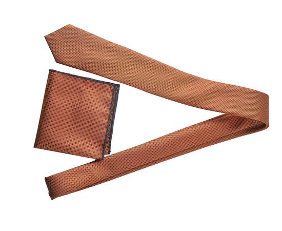 Галстук мужской с платком Quesste 03, Цвет: золотой хамелеон, фото 2 | Интернет-магазин Vels