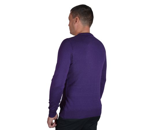 Светр чоловічий Сottre 18533-01, Розмір: M, Колір: фиолетовый узор, фото 3 | Інтернет-магазин Vels