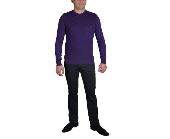 Светр чоловічий Сottre 18533-01, Розмір: M, Колір: фиолетовый узор, фото 2 | Інтернет-магазин Vels